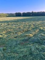 Gezocht weide grasland, Dieren en Toebehoren
