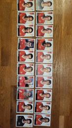 Panini EK 2008 Zwitserland, Ophalen of Verzenden, Zo goed als nieuw