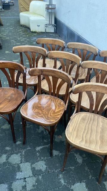 Lot de chaises de café anciennes style Thonet