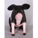 Pig Sitting Pink & Black – Varken beeld Lengte 59 cm, Ophalen, Nieuw
