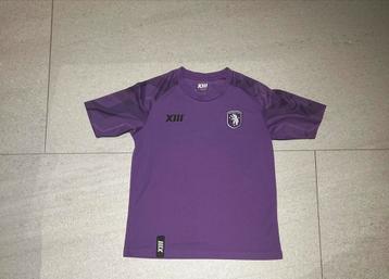 Beerschot Trainingsshirt beschikbaar voor biedingen