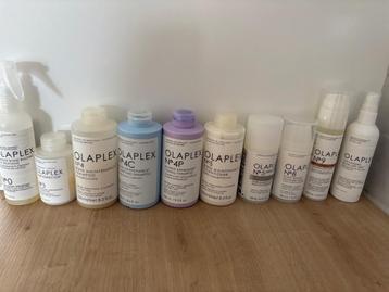 Olaplex gamma beschikbaar voor biedingen