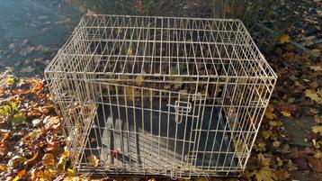 Cage/ Bench chien transport Savic 15 eur disponible aux enchères