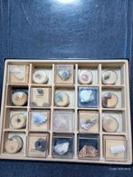 Lot de minéraux, Collections, Enlèvement