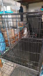 Cage pour chien, Animaux & Accessoires, Maisons pour chiens, Enlèvement, Comme neuf, 75 à 110 cm, 65 à 100 cm