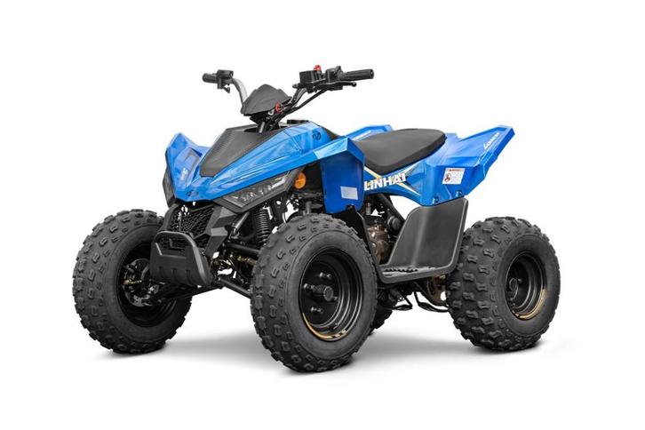 Kinderquad Linhai Junior 110, Motoren, Quads en Trikes, 11 kW of minder, 1 cilinder, Ophalen