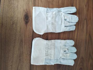 handschoenen  beschikbaar voor biedingen