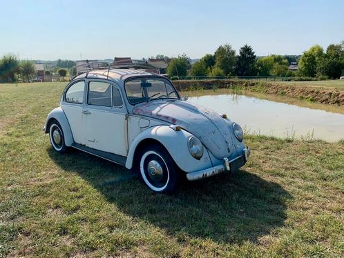 Kever oldtimer, Auto's, Oldtimers, Particulier, Volkswagen, Handgeschakeld, Ophalen
