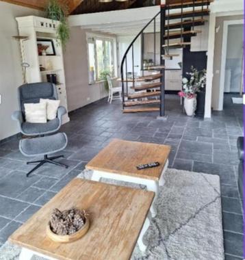 CASTLE STONES ACTIE PRIJS!! CASTLESTONES - KLOOSTERTEGELS beschikbaar voor biedingen