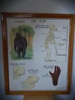 schoolwisselkaders, Ophalen