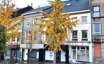 Maison à vendre à Gosselies, 6 chambres beschikbaar voor biedingen