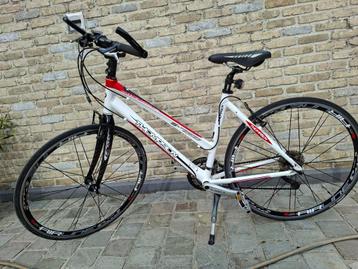 fietsen beschikbaar voor biedingen