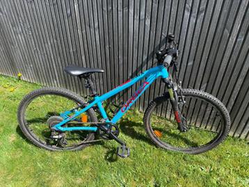 Orbea MX 24 XC mountainbike – bondi blauw beschikbaar voor biedingen