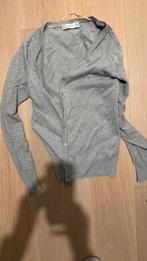 Vestje van Zara, Kleding | Dames, Truien en Vesten, Ophalen, Gedragen