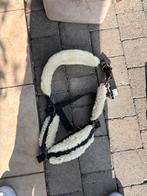 Halsters en halstertouwen, Dieren en Toebehoren, Ophalen