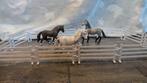Weide en paarden, Ophalen of Verzenden