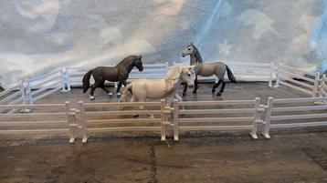 Weide en paarden beschikbaar voor biedingen