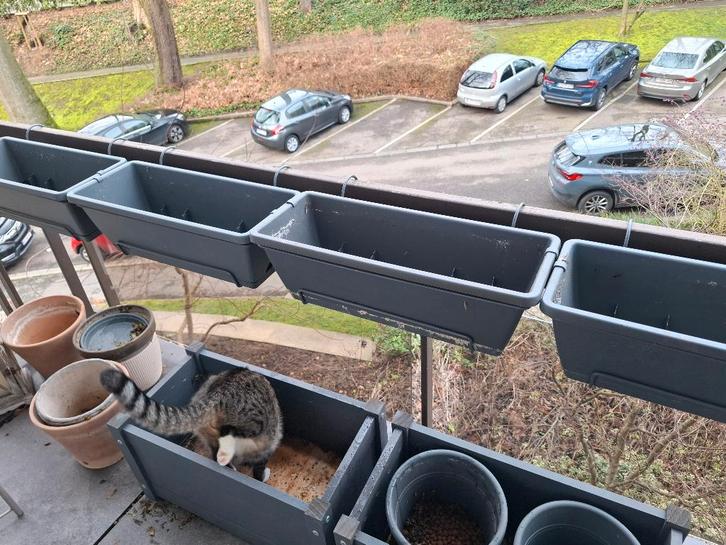 JARDINIERES, Jardin & Terrasse, Bacs à fleurs & Jardinières, Utilisé, Synthétique, Balcon, 30 à 60 cm, 60 à 100 cm, Rectangulaire