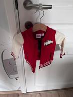 Marvel Spiderman jasje - nieuw, Ophalen, Zo goed als nieuw, Jasje