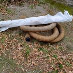 Drainage buis, Doe-het-zelf en Bouw, Ophalen