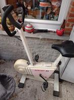 Fiets in het appartement, Sport en Fitness, Fitnessapparatuur, Ophalen, Gebruikt, Metaal, Benen