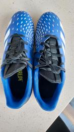 Zaal voetbal schoen adidas predator maat 42, Sport en Fitness, Voetbal, Ophalen, Zo goed als nieuw