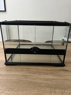 Terrarium + toebehoren, Ophalen, Zo goed als nieuw, Terrarium of Paludarium