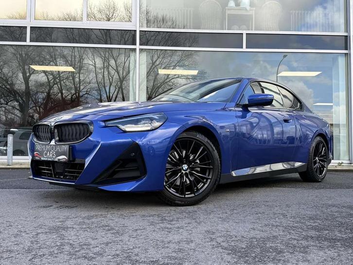 BMW 2 Serie 220 M PACK / ZETELVRWM / CAMERA / CARPLAY / KEYL, Autos, BMW, Entreprise, Achat, Série 2, ABS, Caméra de recul, Airbags