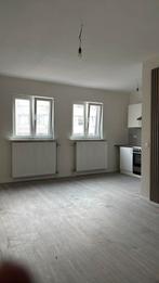 Appartement 1slpk, Immo, Appartementen en Studio's te huur, 35 tot 50 m², Antwerpen (stad)