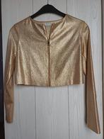 gouden jasje 12j, Kinderen en Baby's, Kinderkleding | Maat 152, Meisje, Nieuw, Jas, Ophalen
