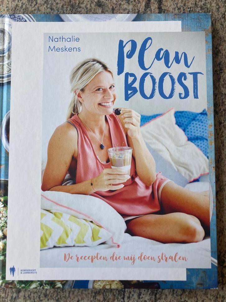 Plan boost - Nathalie Meskens, Livres, Livres de cuisine, Utilisé, Enlèvement ou Envoi