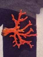 BRANCHE DE CORAIL ROUGE, Overige materialen, Ophalen of Verzenden, Zo goed als nieuw, Rood
