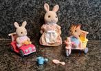 Sylvanian Families - 5040 Rijdend speelgoed voor baby's, Kinderen en Baby's, Ophalen of Verzenden, Zo goed als nieuw