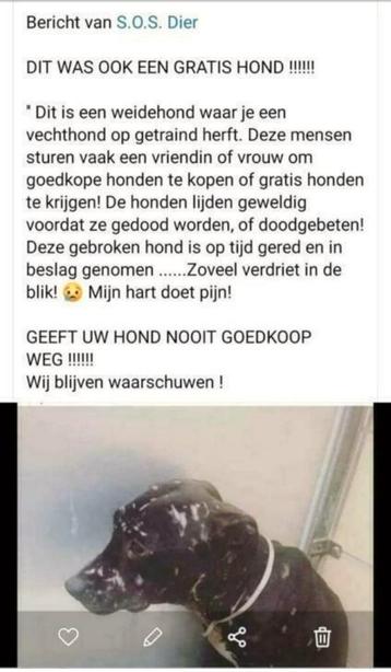 SOS cruauté envers les animaux cruauté envers les animaux