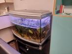 Van aquarium naar terrarium, Ophalen, Gebruikt, Terrarium of Paludarium