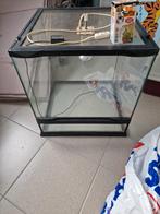 Terrarium, Dieren en Toebehoren, Ophalen of Verzenden, Zo goed als nieuw