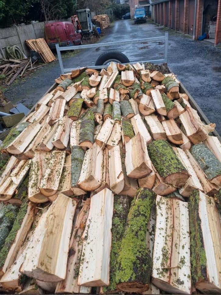 Peuplier, Jardin & Terrasse, Bois de chauffage