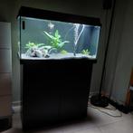 Juwel Primo 110 Led aquarium met kast, Dieren en Toebehoren, Vissen | Aquaria en Toebehoren, Gebruikt, Ophalen