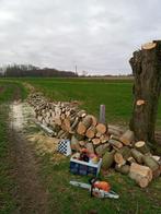 Vellen / knotten / opruimen van bomen in ruil voor brandhout, Diversen, Ophalen of Verzenden, Nieuw