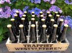 WESTVLETEREN 12 gr : 5 € per fleske, Ophalen of Verzenden, Nieuw, Flesje(s), Overige merken