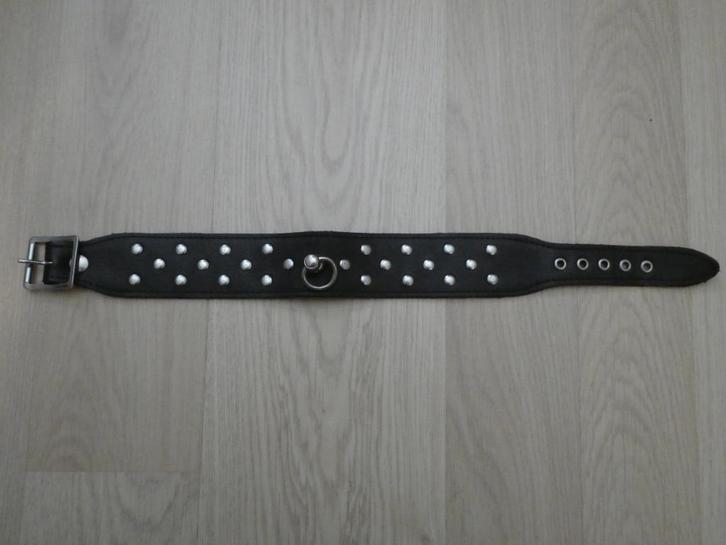 Collar Faux Leather Nopjes, Kleding | Dames, Riemen en Ceinturen, Nieuw, Zwart, Ophalen of Verzenden