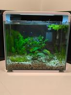 Superfish home 40, Ophalen, Gebruikt, Leeg aquarium