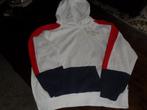 hoodie levi's 14a 158 cm, Kinderen en Baby's, Kinderkleding | Maat 158, Meisje, Trui of Vest, Ophalen of Verzenden, Zo goed als nieuw