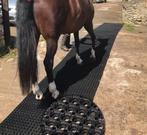 Rubberen ringmat stalmat op rol NERGENS GOEDKOPER paardbox, Weidegang