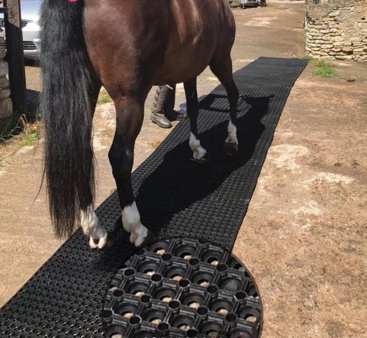 Rubberen ringmat stalmat op rol NERGENS GOEDKOPER paardbox, Dieren en Toebehoren, Stalling en Weidegang, Stalling, Weidegang, Accessoires
