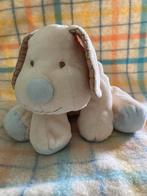 Tiamo super schattige baby knuffel hond , lichtblauw, Hond, Ophalen of Verzenden