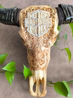 Echte schedel waterbuffel gegraveerd Harley-Davidson, Huis en Inrichting, Ophalen