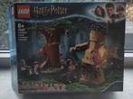 Lego Harry Potter - set 75967 - het verboden bos Omber's ont, Ophalen of Verzenden, Zo goed als nieuw, Complete set, Lego