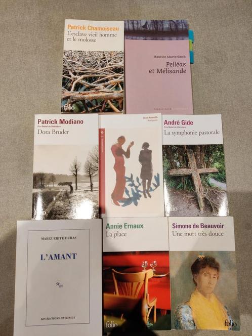 Franstalige romans, Boeken, Studieboeken en Cursussen, Zo goed als nieuw, Hoger Onderwijs, Ophalen of Verzenden