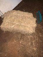 Kleine botten hooi en stro te koop, Dieren en Toebehoren, Ophalen, Vee